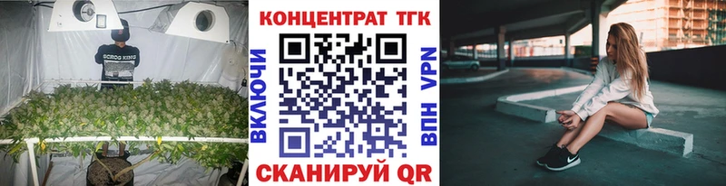 Купить где  Ветлуга  Дистиллят ТГК Wax 